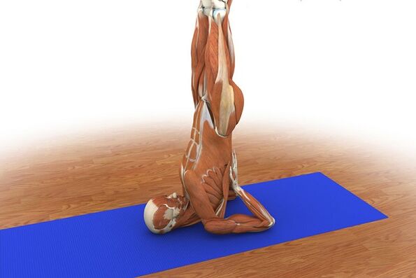 Упражнение для потенции «Березка»